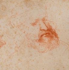 Trois études d'un visage d'homme barbu - Léonard de Vinci